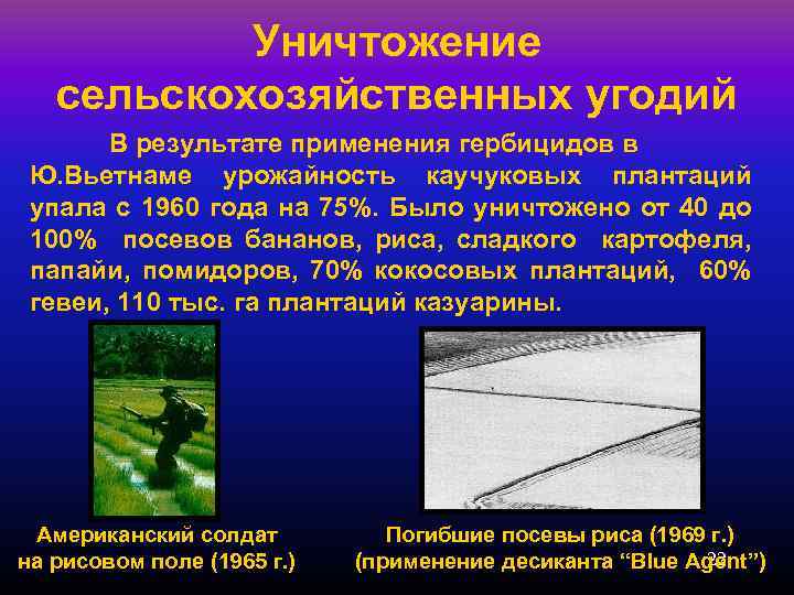 Уничтожение сельскохозяйственных угодий В результате применения гербицидов в Ю. Вьетнаме урожайность каучуковых плантаций упала