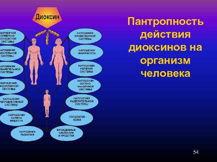 Пантропность действия диоксинов на организм человека 54 