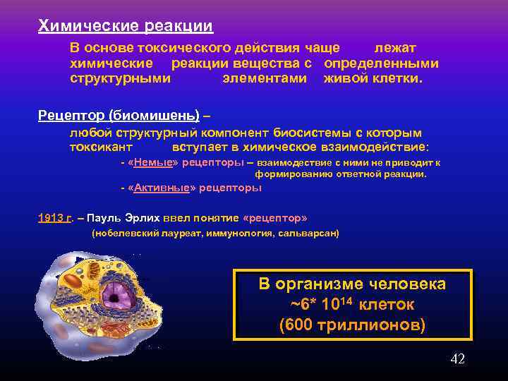 Химические реакции В основе токсического действия чаще лежат химические реакции вещества с определенными структурными