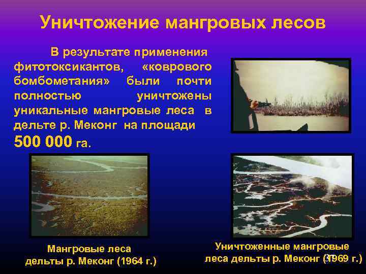 Уничтожение мангровых лесов В результате применения фитотоксикантов, «коврового бомбометания» были почти полностью уничтожены уникальные