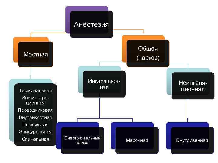 Анестезия Общая (наркоз) Местная Терминальная Инфильтрационная Проводниковая Внутрикостная Плексусная Эпидуральная Спинальная Ингаляционная Эндотрахеальный наркоз