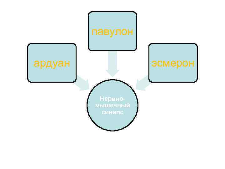 павулон ардуан эсмерон Нервномышечный синапс Недеполяризующие миорелаксанты 
