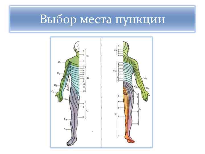 Выбор места пункции 