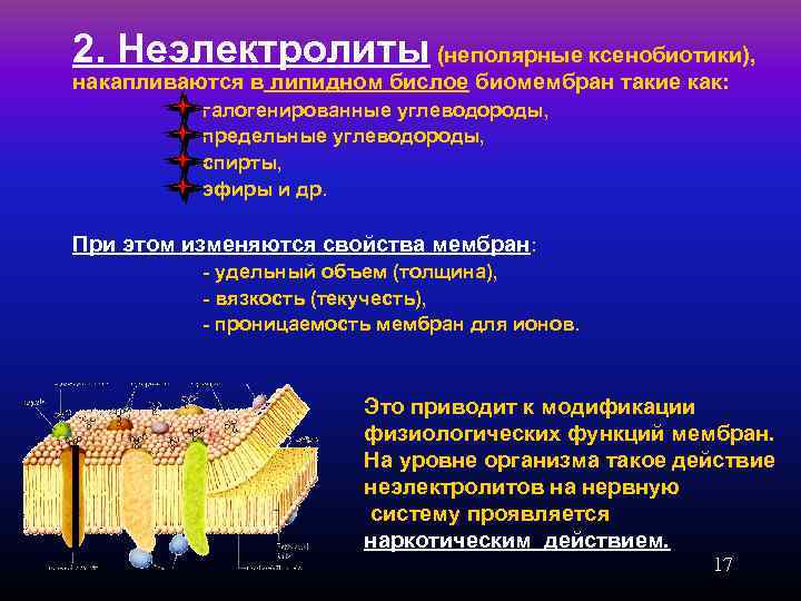 2. Неэлектролиты (неполярные ксенобиотики), накапливаются в липидном бислое биомембран такие как: галогенированные углеводороды, предельные