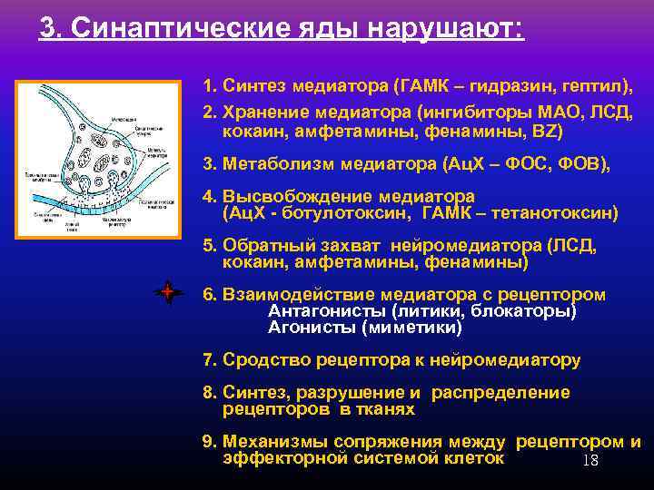 3. Синаптические яды нарушают: 1. Синтез медиатора (ГАМК – гидразин, гептил), 2. Хранение медиатора