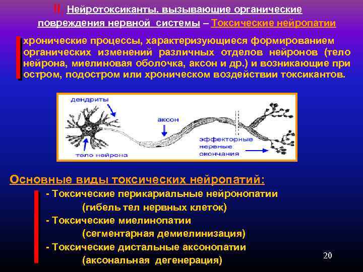 Аксонопатия. Валлеровская дегенерация аксонов. Нейротоксичность. Миелинопатия. Виды нейротоксичности.