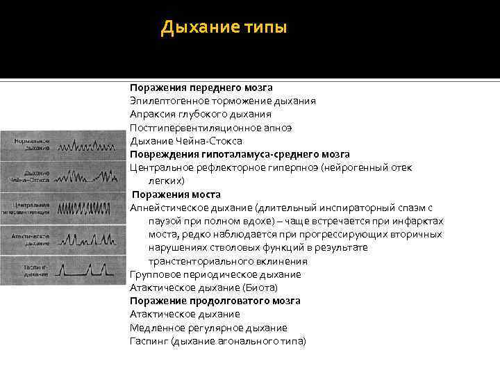 Дыхание типы Поражения переднего мозга Эпилептогенное торможение дыхания Апраксия глубокого дыхания Постгипервентиляционное апноэ Дыхание