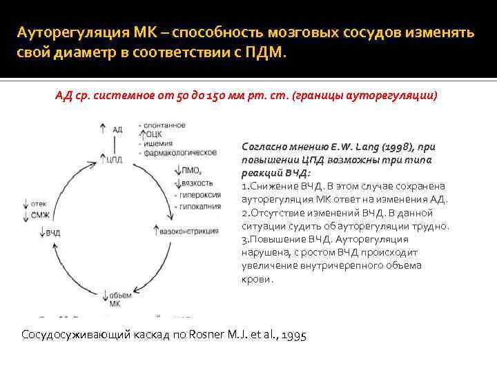 Ауторегуляция МК – способность мозговых сосудов изменять свой диаметр в соответствии с ПДМ. АД