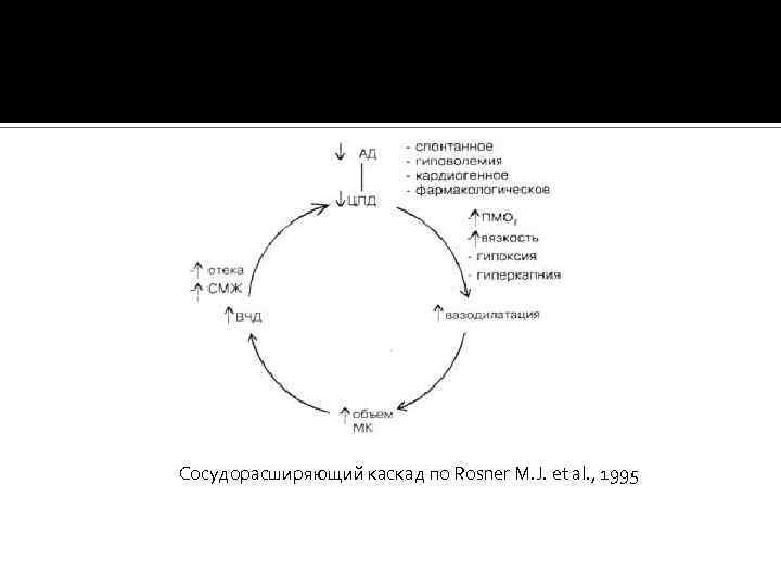 Сосудорасширяющий каскад по Rosner M. J. et al. , 1995 