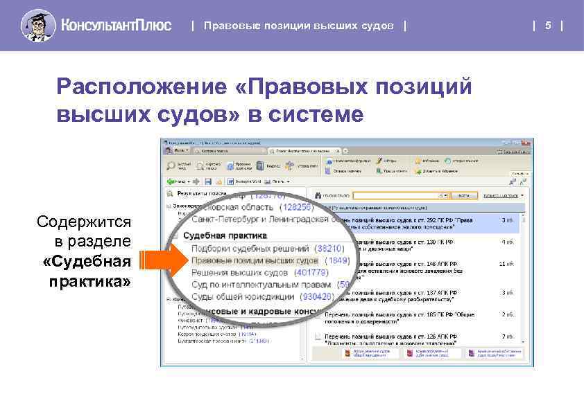 Проекты постановлений правительства рф содержатся в информационном банке справочно правовой системы