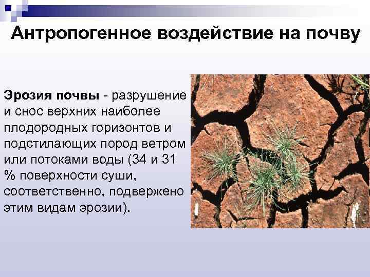 Антропогенное воздействие на почву Эрозия почвы - разрушение и снос верхних наиболее плодородных горизонтов