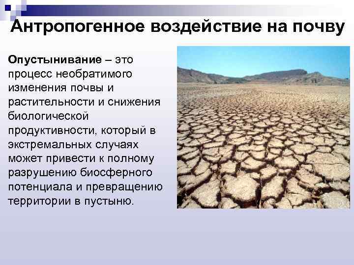 Антропогенное воздействие на почву Опустынивание – это процесс необратимого изменения почвы и растительности и