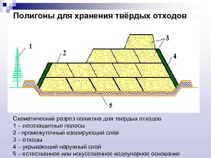Полигоны для хранения твёрдых отходов Схематический разрез полигона для твердых отходов 1 – лесозащитные