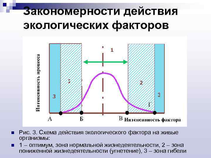 Фактор действия. Основные закономерности воздействия экологических факторов. Закономерности воздействия экологических факторов на организм. Закономерности действия экологических факторов на организм. Закономерности действия факторов среды на органи.