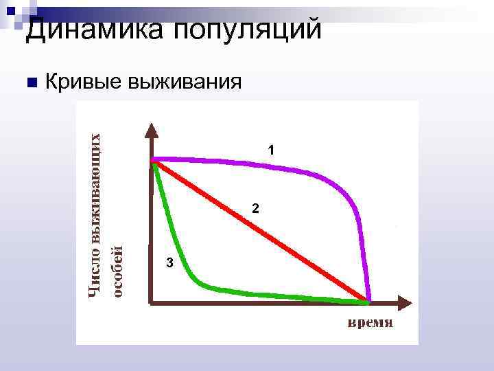 Динамика популяций n Кривые выживания 1 2 3 