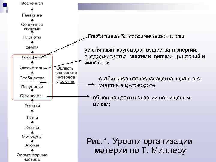 Глобальные биогеохимические циклы устойчивый круговорот вещества и энергии, поддерживается многими видами растений и животных;