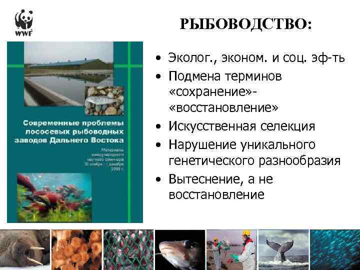 РЫБОВОДСТВО: • Эколог. , эконом. и соц. эф-ть • Подмена терминов «сохранение» «восстановление» •