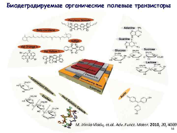 Биодеградируемые органические полевые транзисторы M. Irimia-Vladu, et. al. Adv. Funct. Mater. 2010, 20, 4069