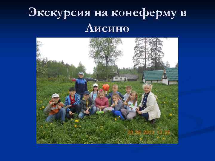 Экскурсия на конеферму в Лисино 