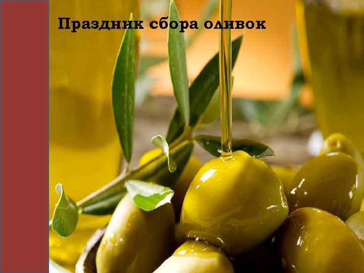 Праздник сбора оливок 