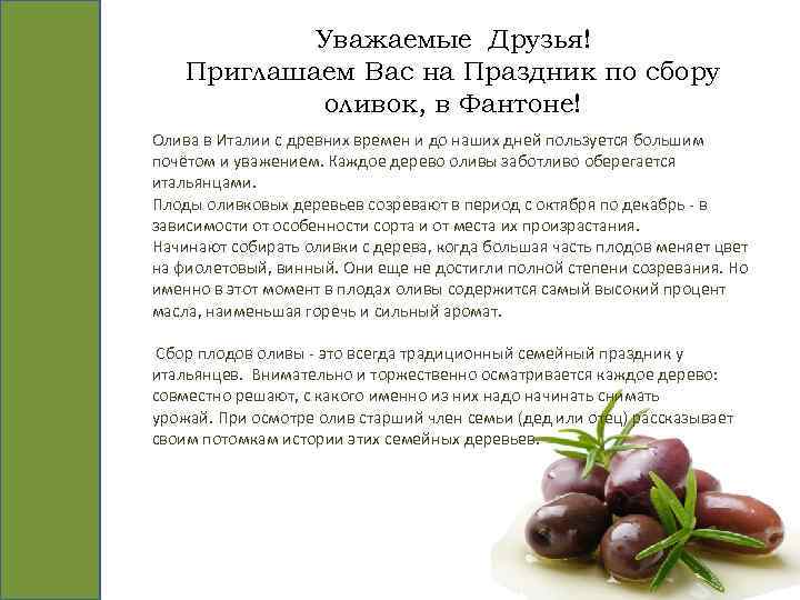 Уважаемые Друзья! Приглашаем Вас на Праздник по сбору оливок, в Фантоне! Олива в Италии