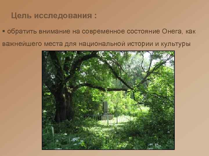 Цель исследования : § обратить внимание на современное состояние Онега, как важнейшего места для