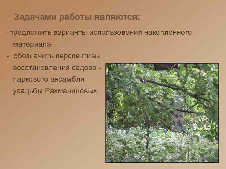 Задачами работы являются: -предложить варианты использования накопленного материала - обозначить перспективы восстановления садово паркового