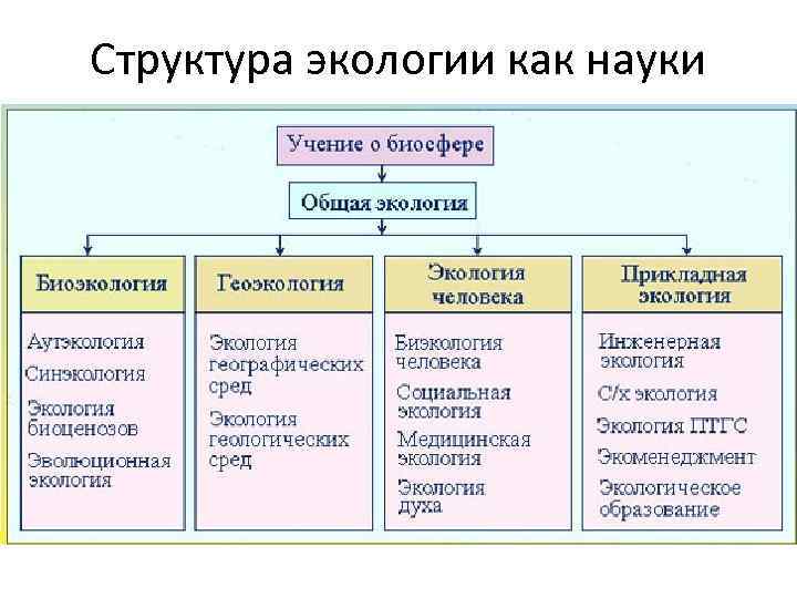 Начертите схему структуры современных экологических знаний