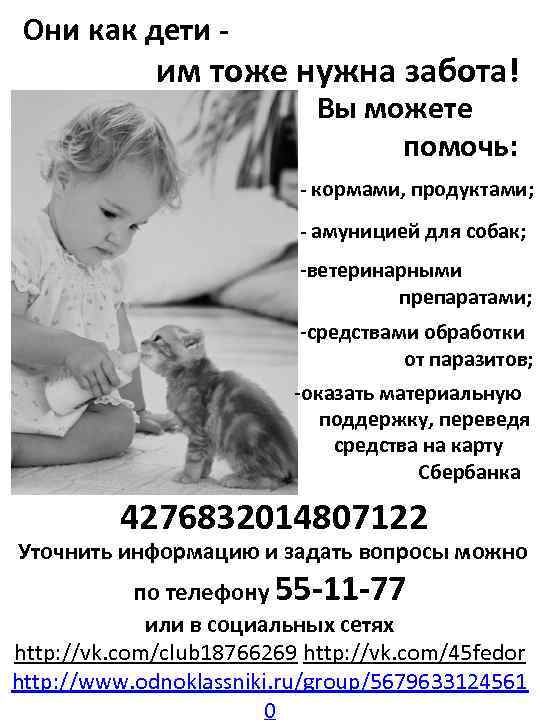  Они как дети - им тоже нужна забота! Вы можете помочь: - кормами,