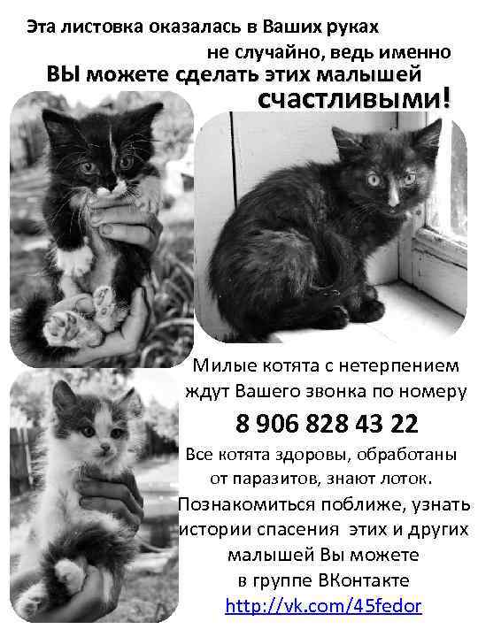 Эта листовка оказалась в Ваших руках не случайно, ведь именно ВЫ можете сделать этих