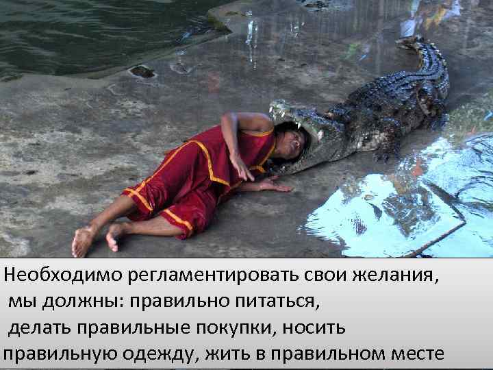 Необходимо регламентировать свои желания, мы должны: правильно питаться, делать правильные покупки, носить правильную одежду,
