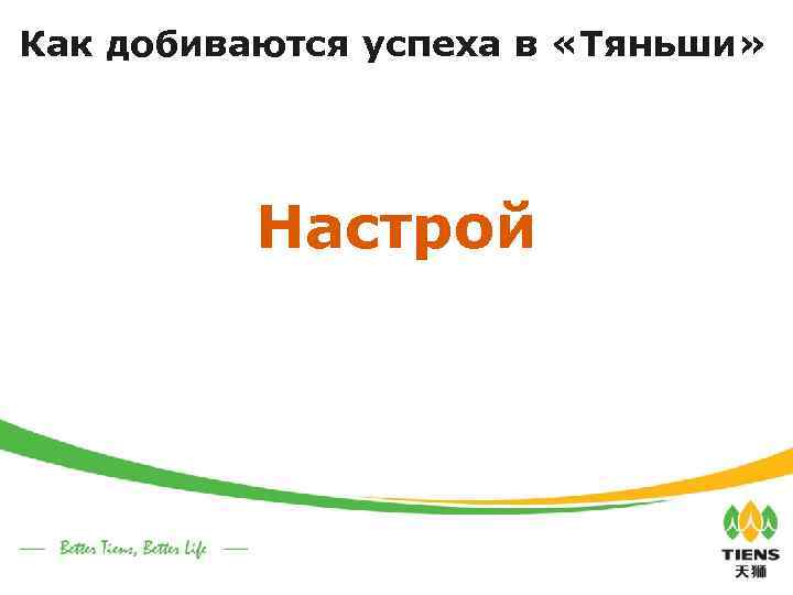 Как добиваются успеха в «Тяньши» Настрой 