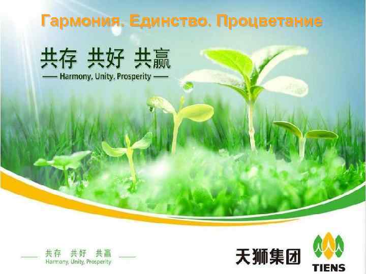 Гармония. Единство. Процветание 