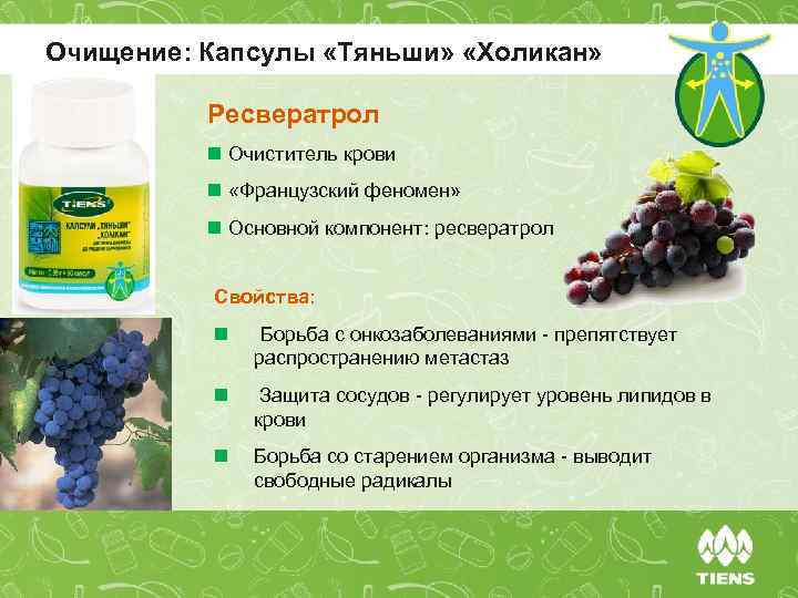 Очищение: Капсулы «Тяньши» «Холикан» Ресвератрол n Очиститель крови n «Французский феномен» n Основной компонент: