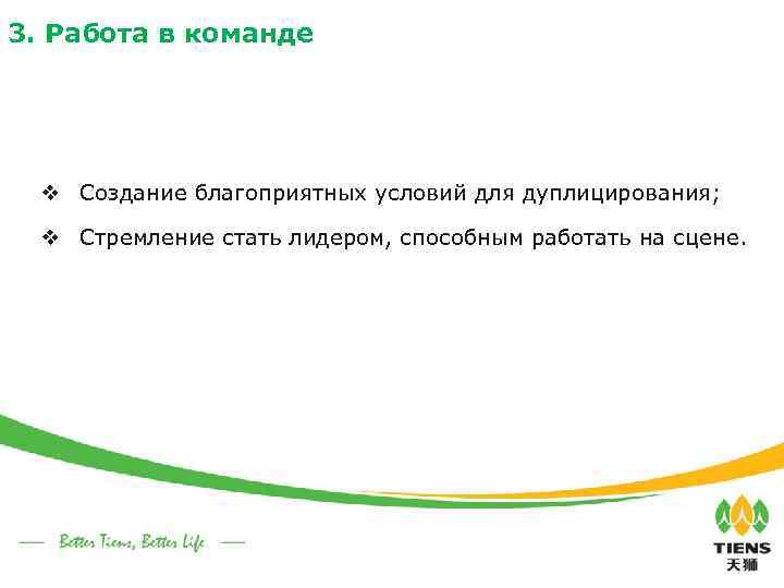 3. Работа в команде v Создание благоприятных условий для дуплицирования; v Стремление стать лидером,