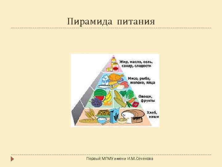 Пирамида питания Первый МГМУ имени И. М. Сеченова 