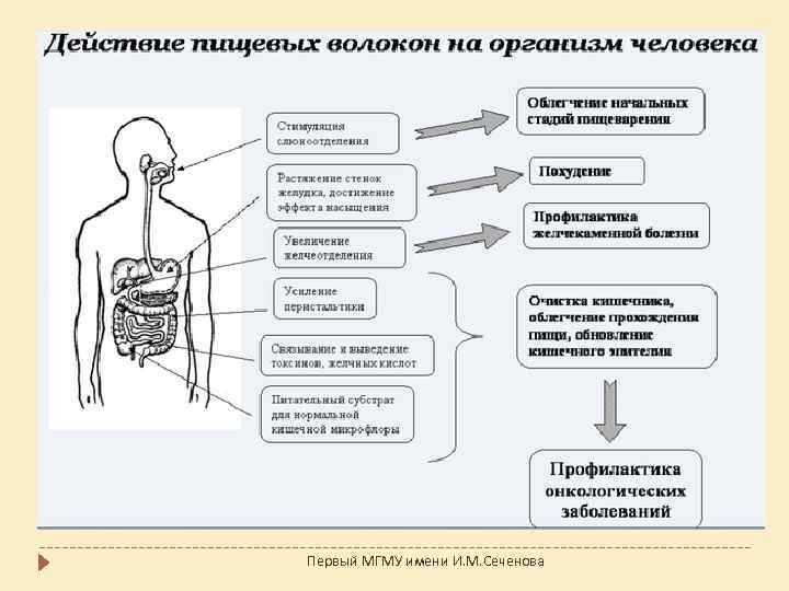 Первый МГМУ имени И. М. Сеченова 