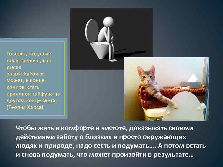 Говорят, что даже такая мелочь, как взмах крыла бабочки, может, в конце концов, стать