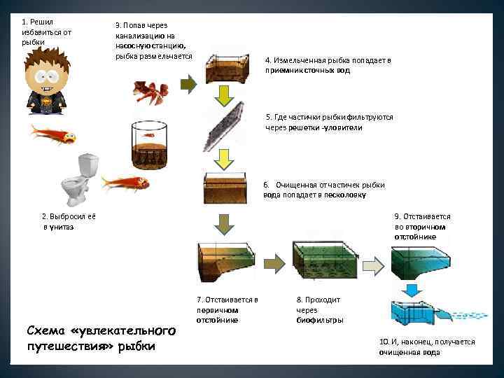1. Решил «Путешествие» избавиться от рыбки 3. Попав через золотой рыбки канализацию на насосную
