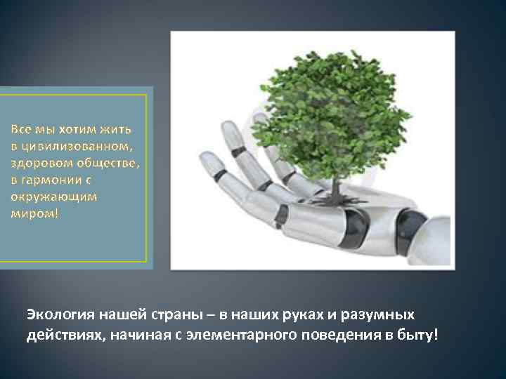 Все мы хотим жить в цивилизованном, здоровом обществе, в гармонии с окружающим миром! Экология