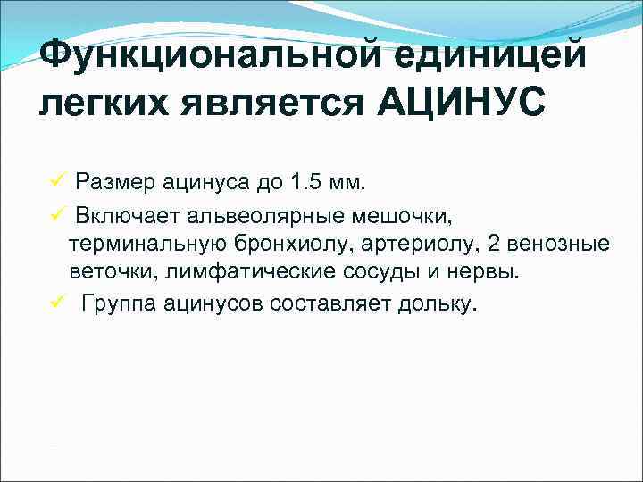 Функциональной единицей легких является АЦИНУС ü Размер ацинуса до 1. 5 мм. ü Включает