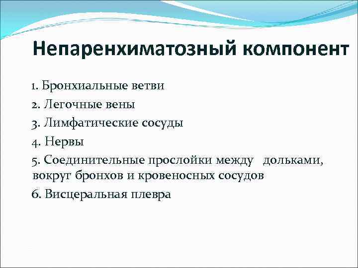 Непаренхиматозный компонент 1. Бронхиальные ветви 2. Легочные вены 3. Лимфатические сосуды 4. Нервы 5.