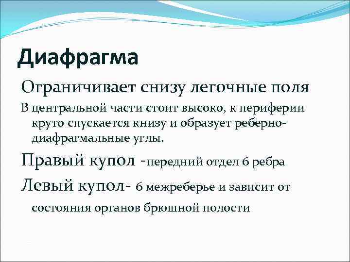 Диафрагма Ограничивает снизу легочные поля В центральной части стоит высоко, к периферии круто спускается