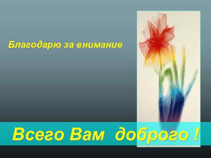 Благодарю за внимание Всего Вам доброго ! 