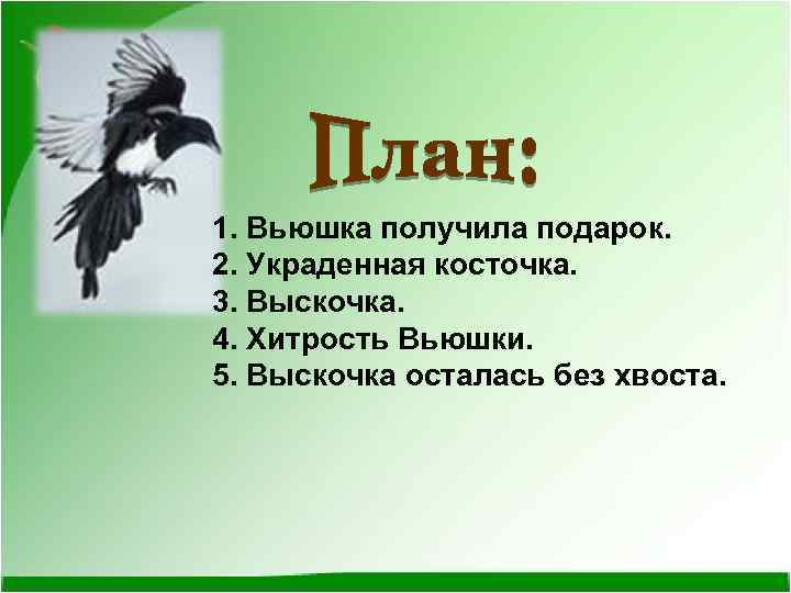 1. Вьюшка получила подарок. 2. Украденная косточка. 3. Выскочка. 4. Хитрость Вьюшки. 5. Выскочка