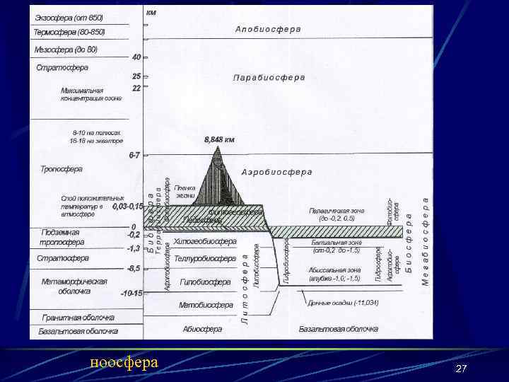 ноосфера 27 