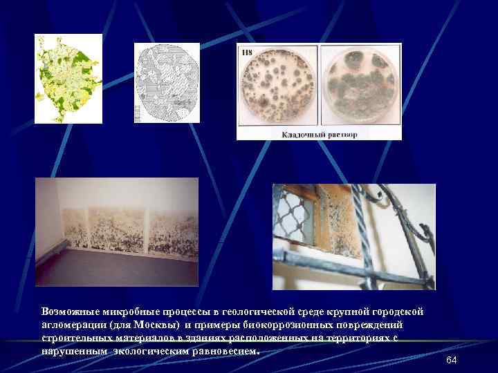 Возможные микробные процессы в геологической среде крупной городской агломерации (для Москвы) и примеры биокоррозионных