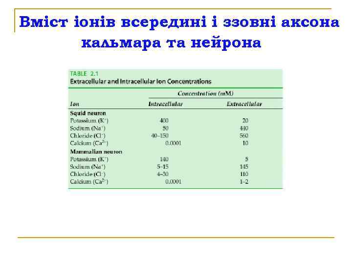 Вміст іонів всередині і ззовні аксона кальмара та нейрона 