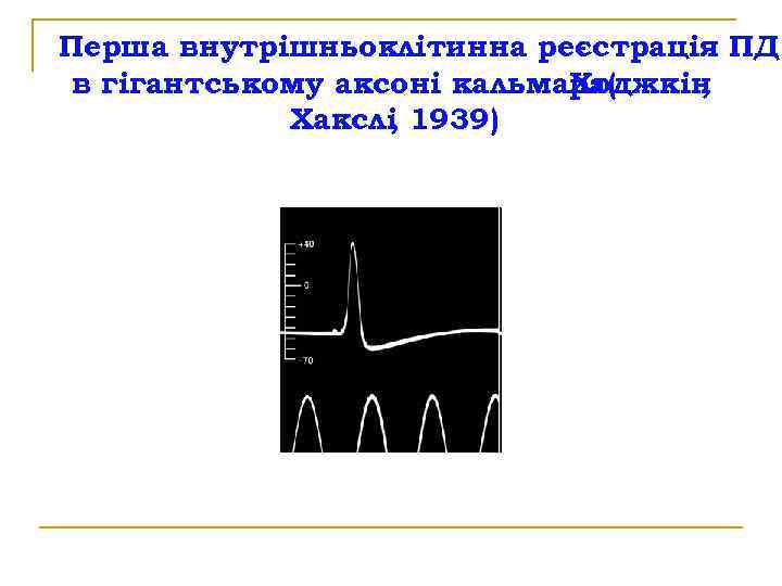 Перша внутрішньоклітинна реєстрація ПД в гігантському аксоні кальмара( Ходжкін , Хакслі 1939) , 