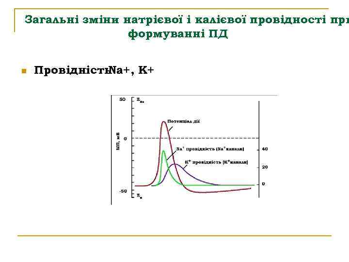 Загальні зміни натрієвої і калієвої провідності при формуванні ПД n Провідність Na+, K+ 